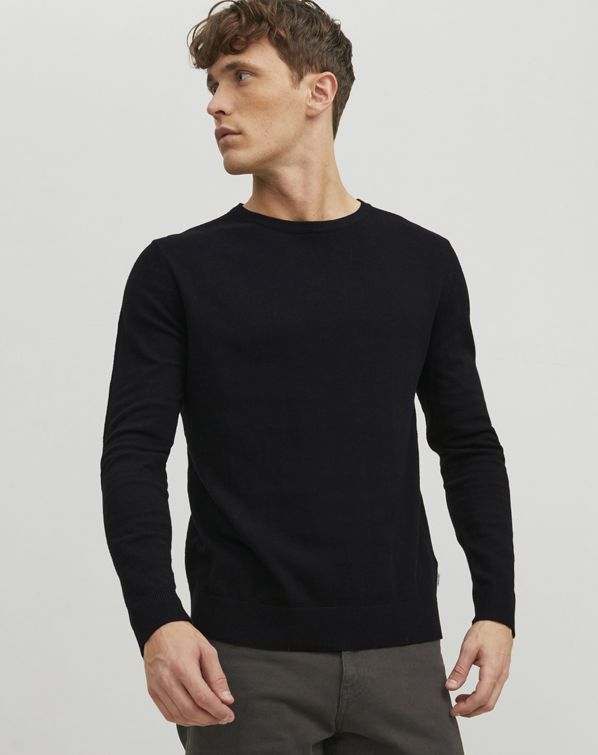 Emil Crew Neck Strik