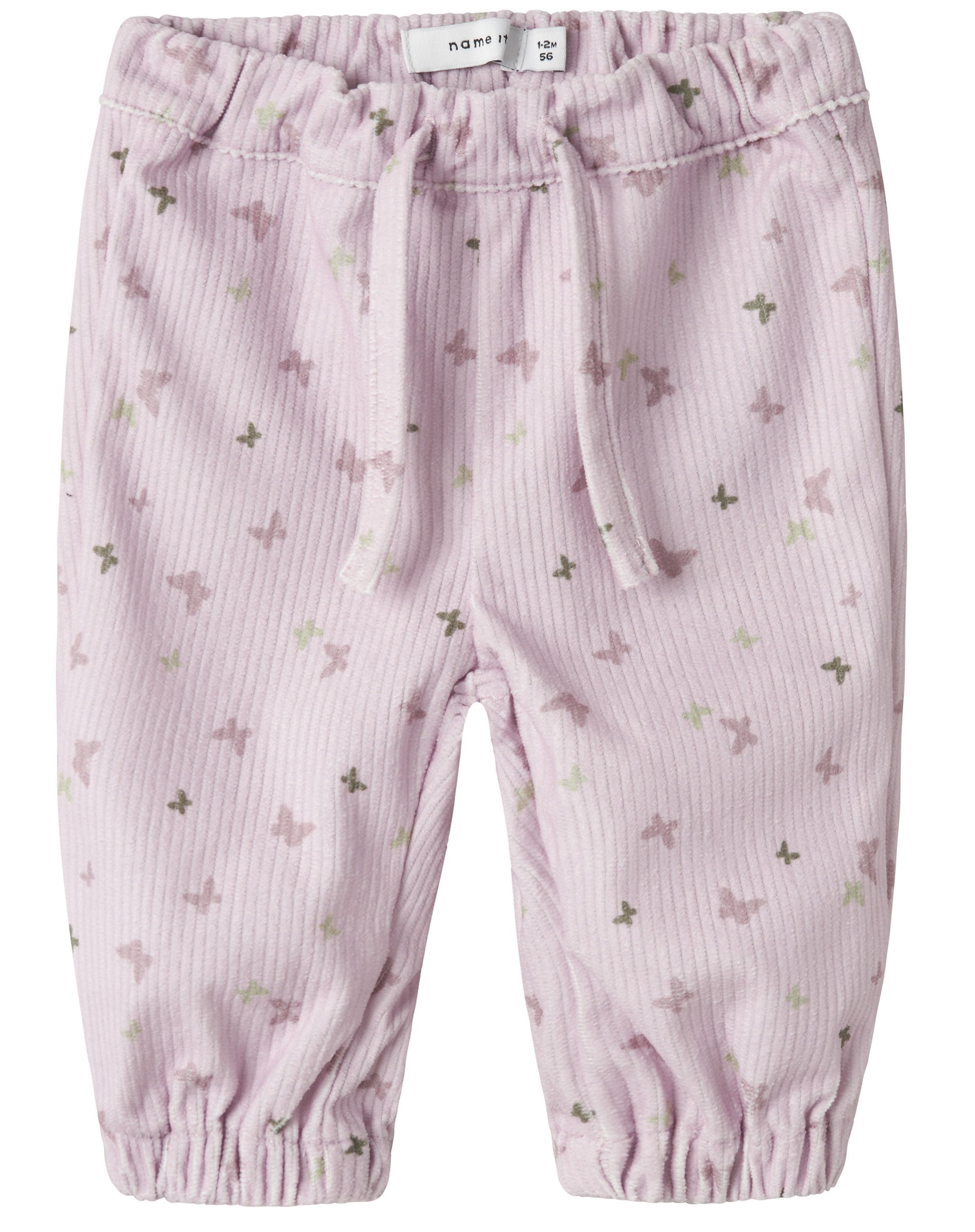 281597 WINSOME ORCHI