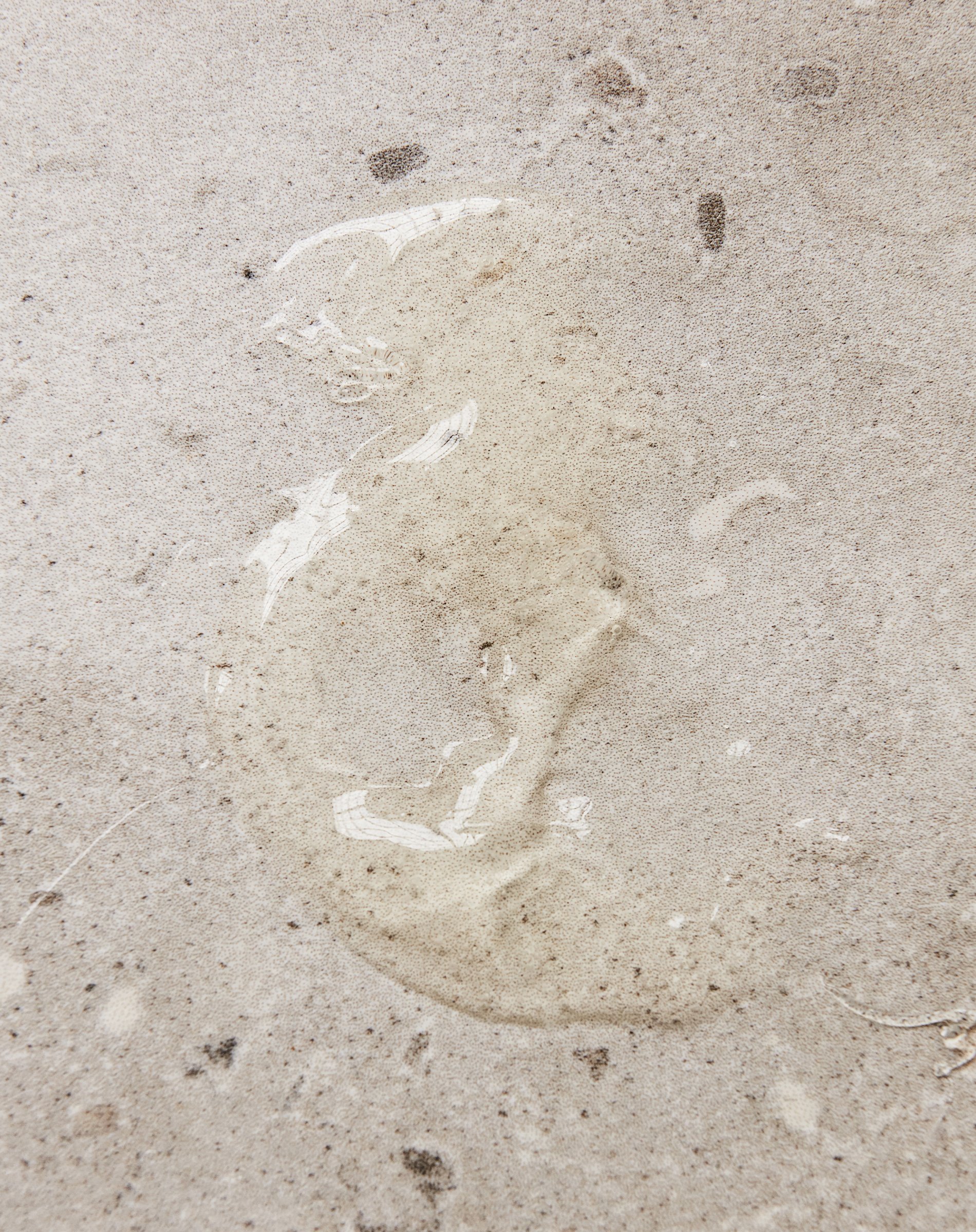 Håndsæbe - Meadow Bliss - 490 Ml