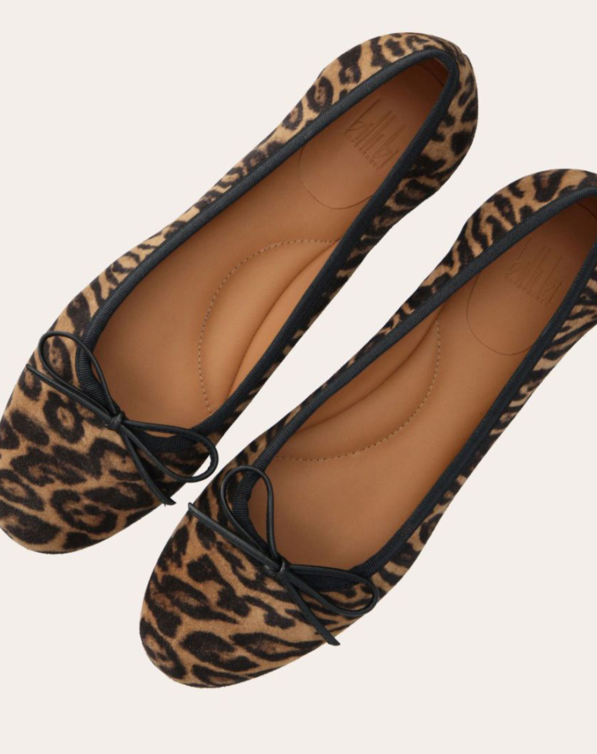 Leopardo Arabica Suede Ballerina