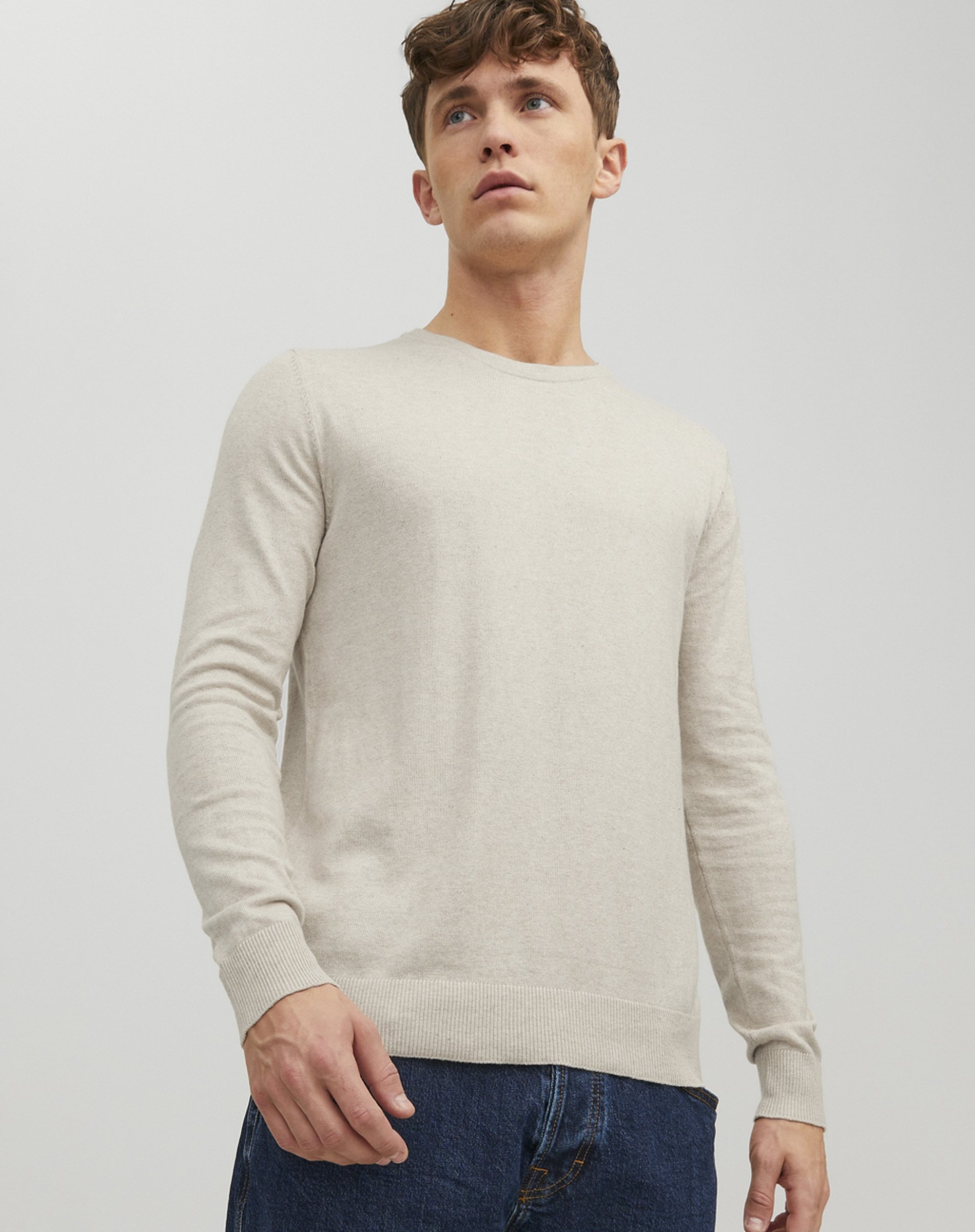 Emil Crew Neck Strik