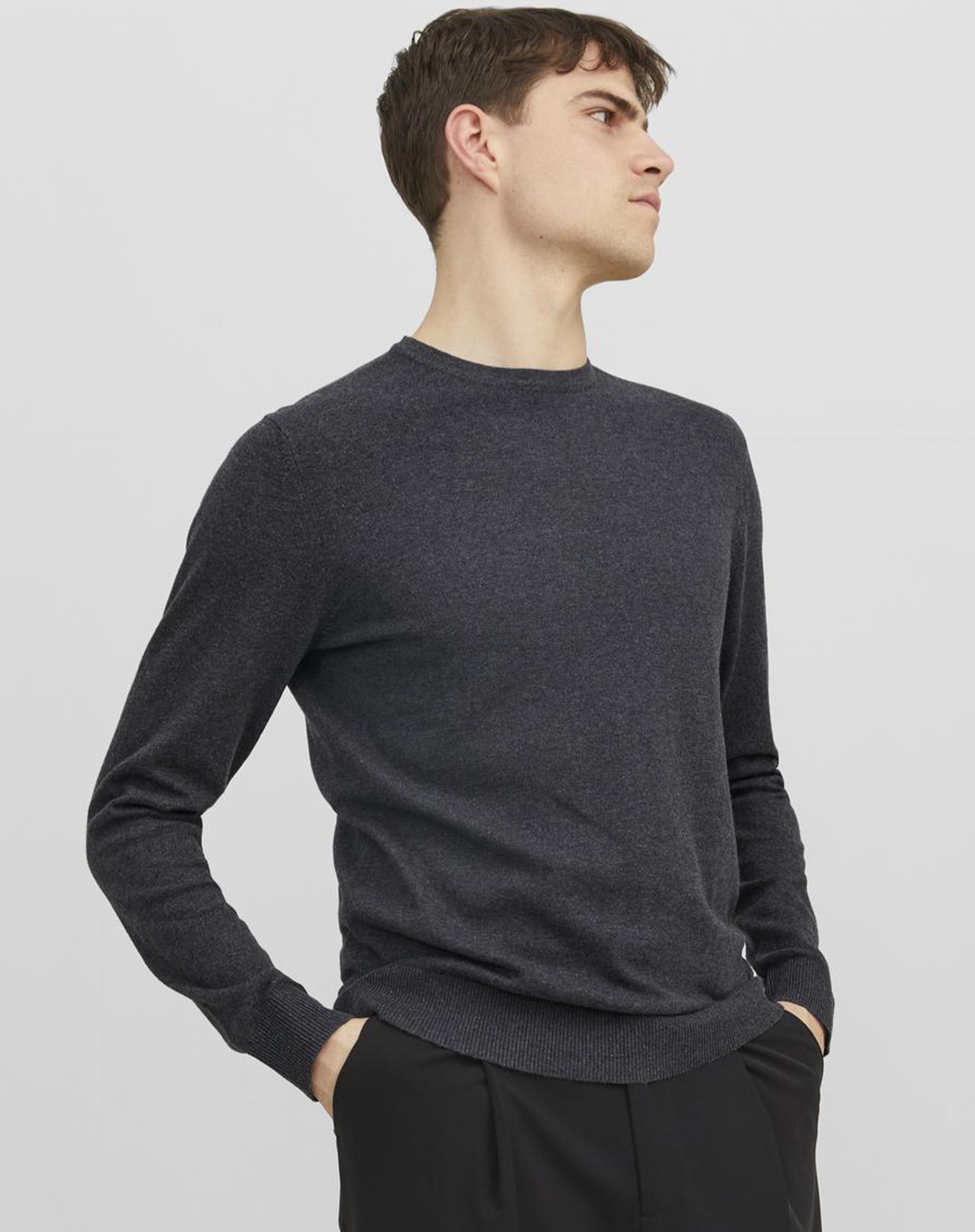 Emil Crew Neck Strik