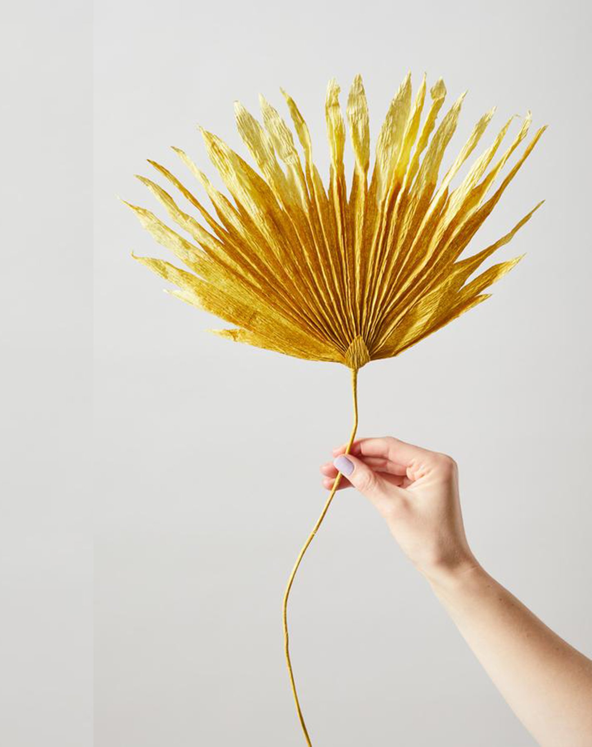 Papirblomst - Palm - Ochra