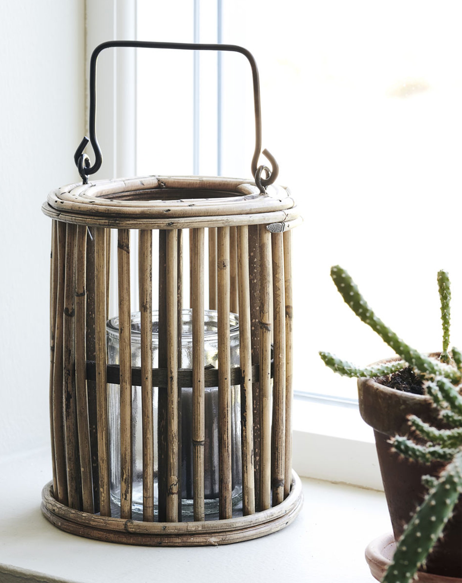 Lanterne - Ova - Nature