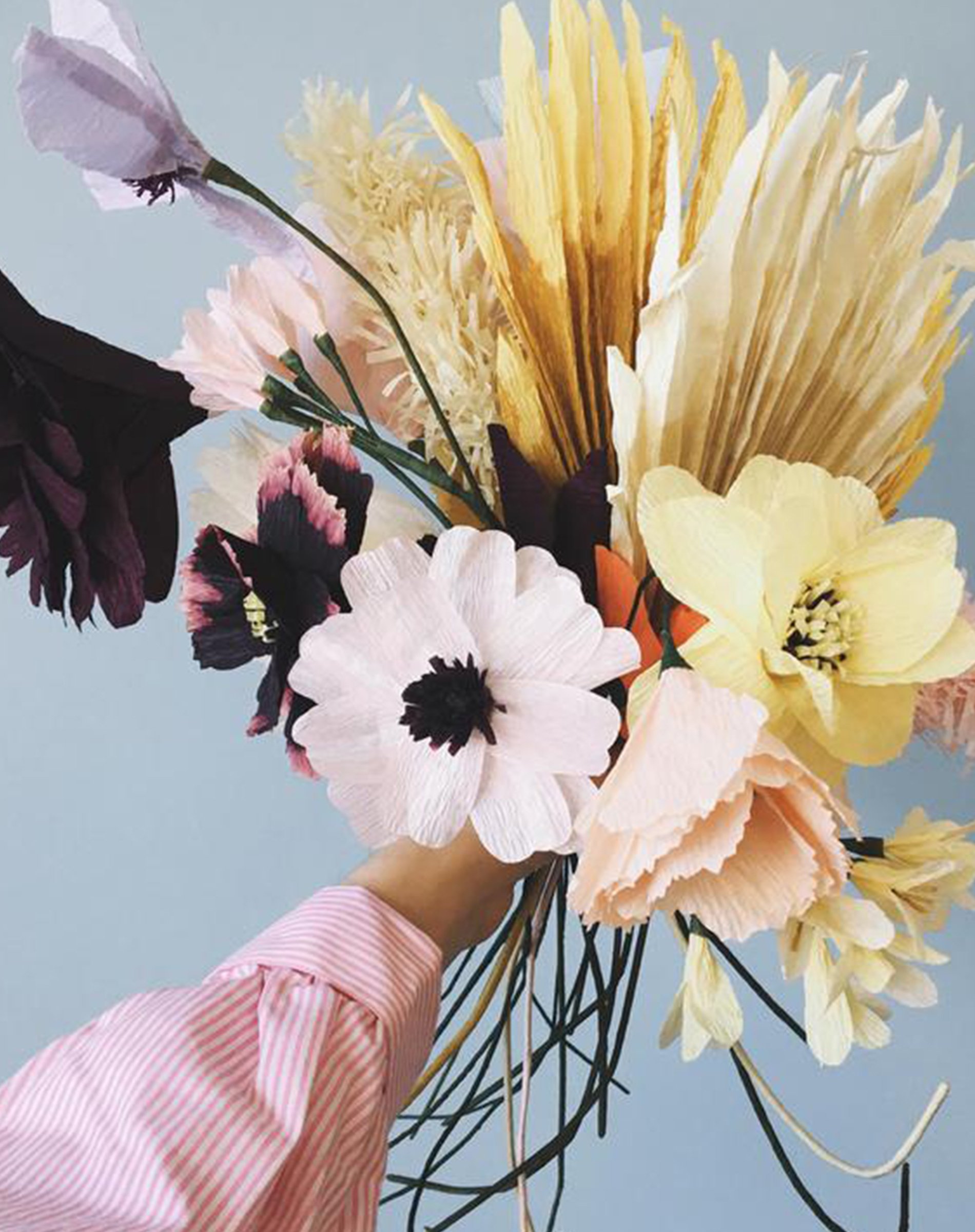 Papirblomst - Palm - Ochra