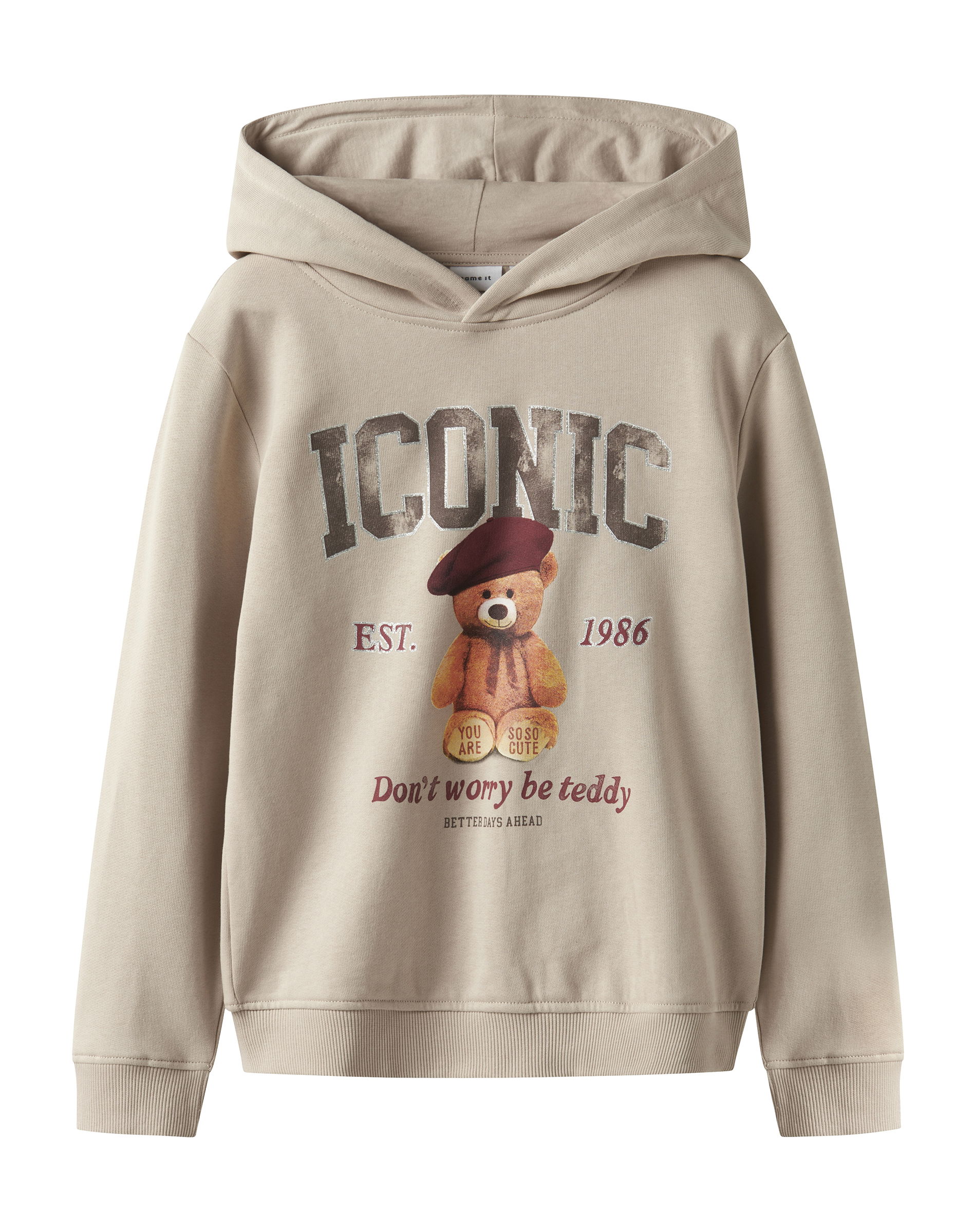 NKFrycca Sweatshirt - Cement 